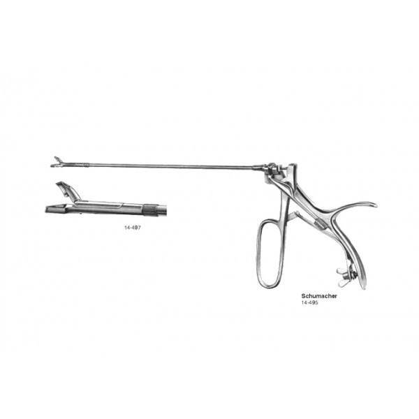 Gynecology, Obstetrics